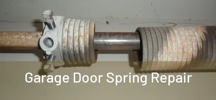  Garage Door Spring Repair 