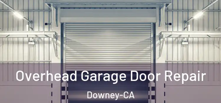 Overhead Garage Door Repair Downey-CA
